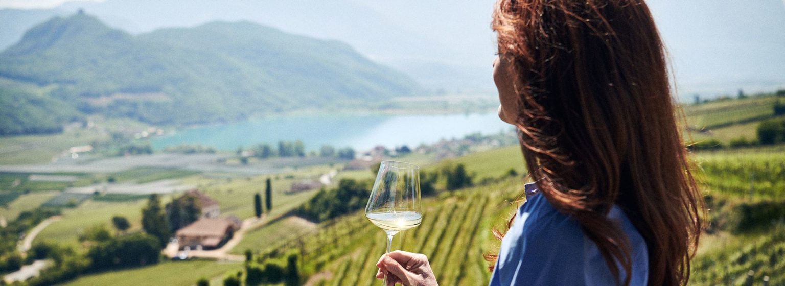 Wine & Friends, Espa&ntilde;a de Norte a Sur &mdash; The Good Life